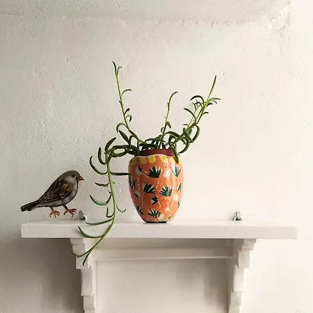 Kanto's 3* Στεμνίτσα