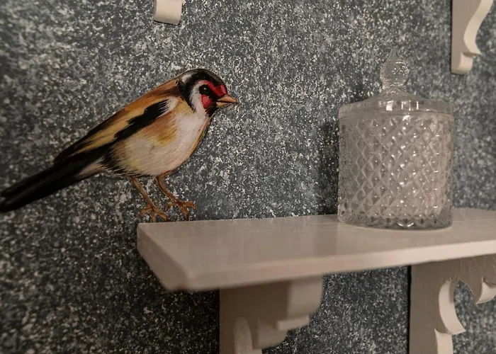 Kanto's ستيمنيتسا