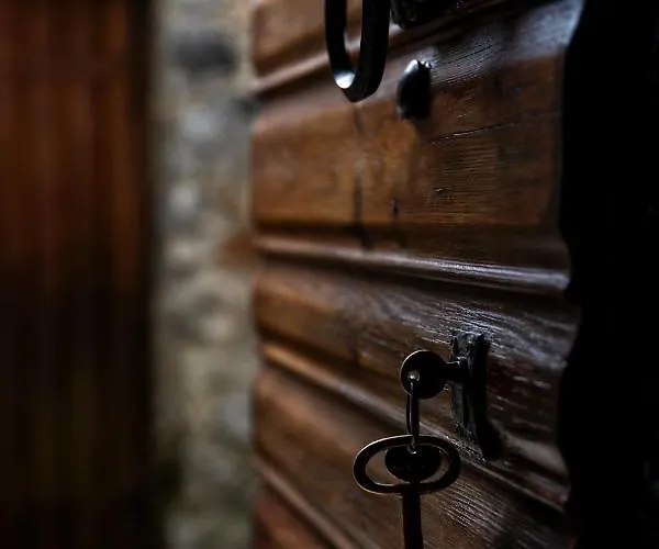 Kanto's 斯特姆尼察