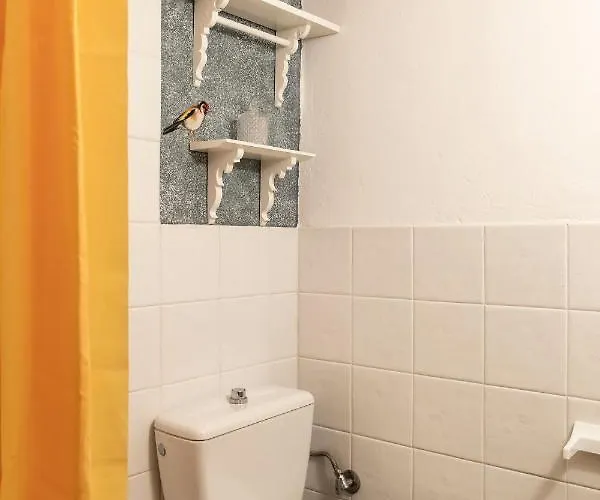 Kanto's ستيمنيتسا