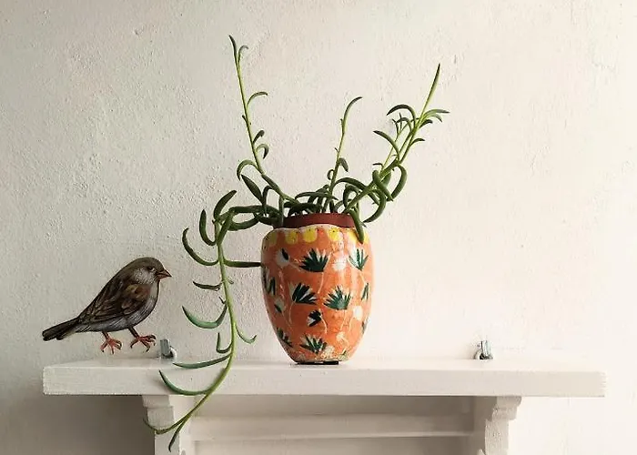 Kanto's 3* ستيمنيتسا